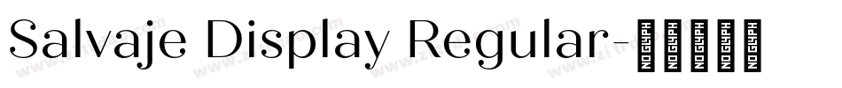 Salvaje Display Regular字体转换
